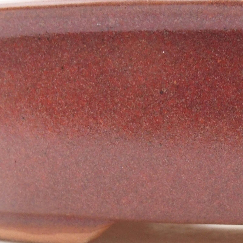 Keramik-Bonsaischale 19 x 14,5 x 5 cm, Weinfarbe