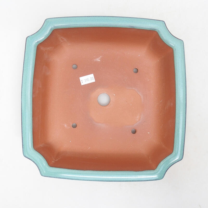 Bonsaischale aus Keramik 21,5 x 21,5 x 6,5 cm, Farbe grün