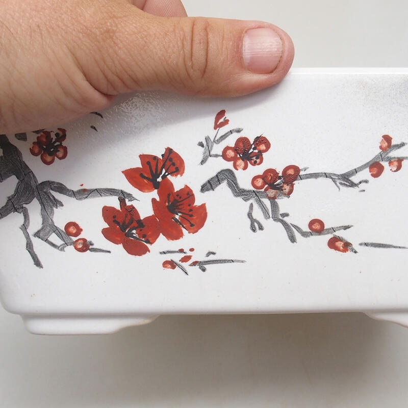 Bonsaischale aus Keramik 22 x 22 x 9 cm, Farbe weiß