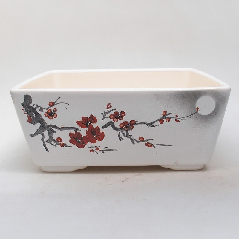 Bonsaischale aus Keramik 22 x 22 x 9 cm, Farbe weiß