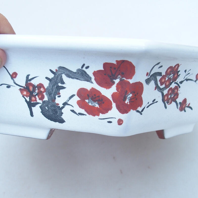 Bonsaischale aus Keramik 23 x 21 x 6 cm, Farbe weiß