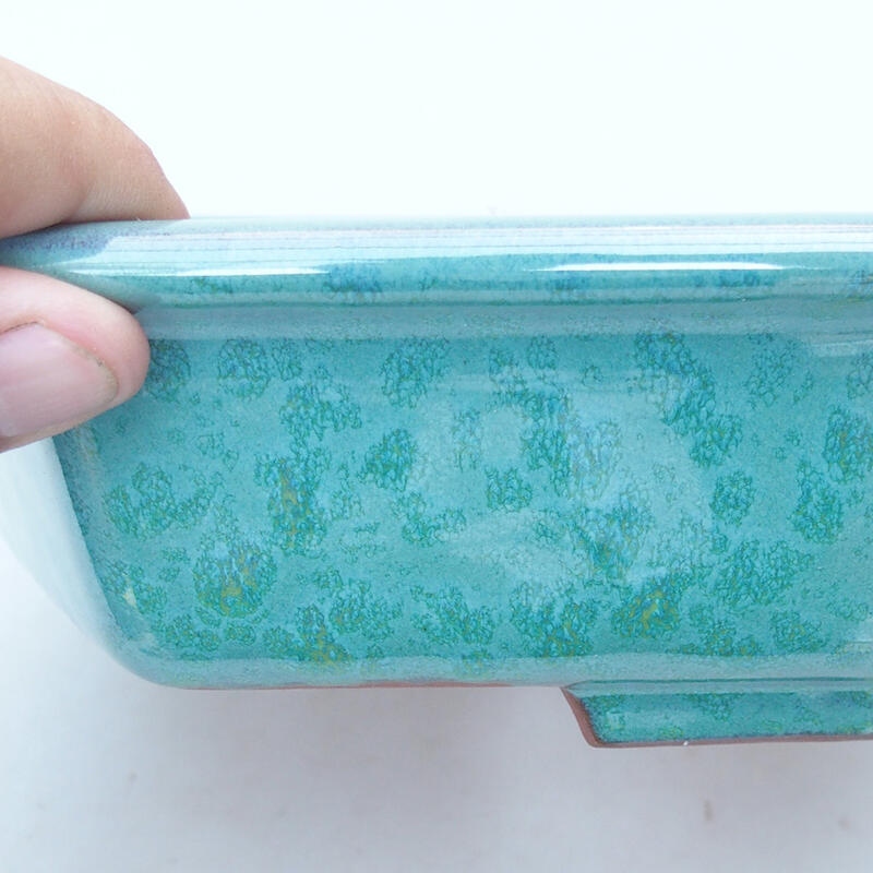 Bonsaischale aus Keramik 23 x 21 x 6 cm, Farbe grün
