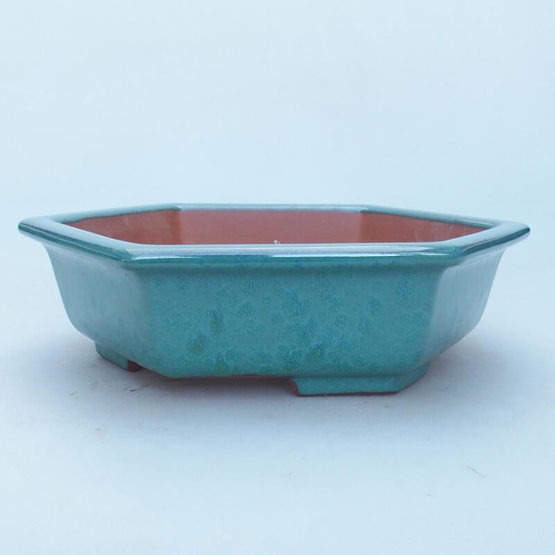 Bonsaischale aus Keramik 23 x 21 x 6 cm, Farbe grün