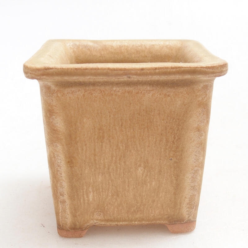 Keramik-Bonsaischale 5,5 x 5,5 x 5 cm, Farbe Beige