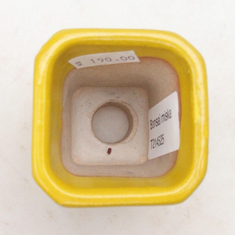 Bonsaischale aus Keramik 5,5 x 5,5 x 7 cm, Farbe gelb
