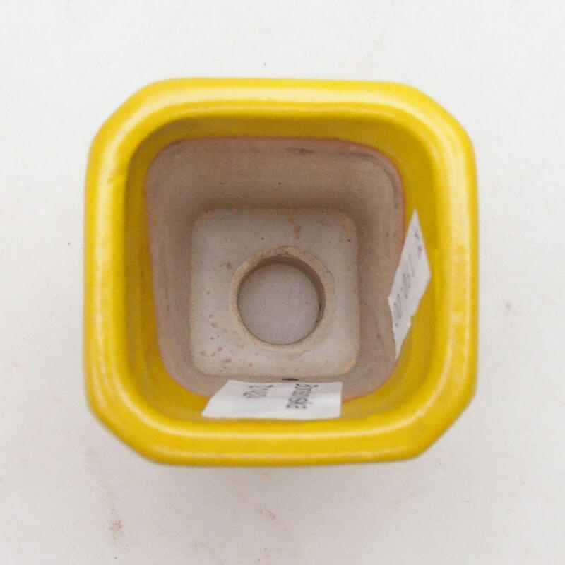 Bonsaischale aus Keramik 5,5 x 5,5 x 7 cm, Farbe gelb