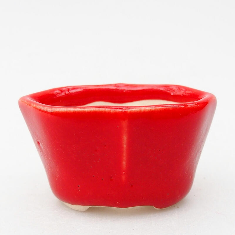 Keramik-Bonsaischale 5 x 3 x 2,5 cm, Farbe Rot