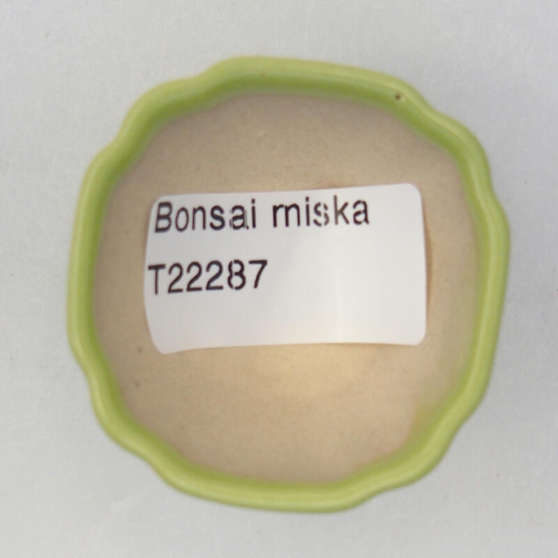 Keramik-Bonsaischale 5 x 5 x 2,5 cm, Farbe grün