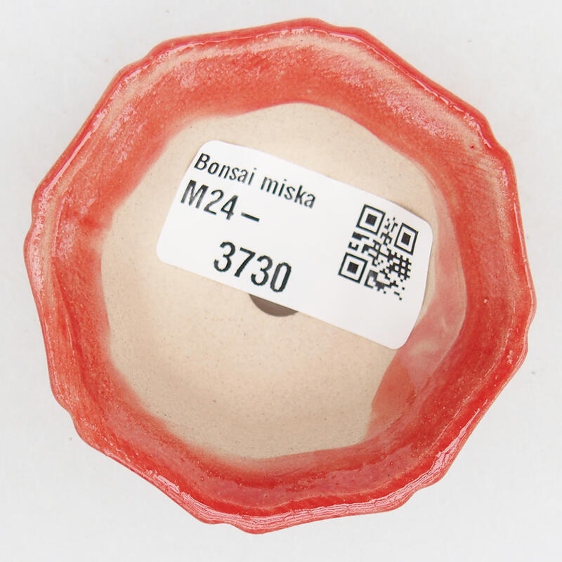 Bonsaischale aus Keramik, 6 x 6 x 2,5 cm, Farbe: rot