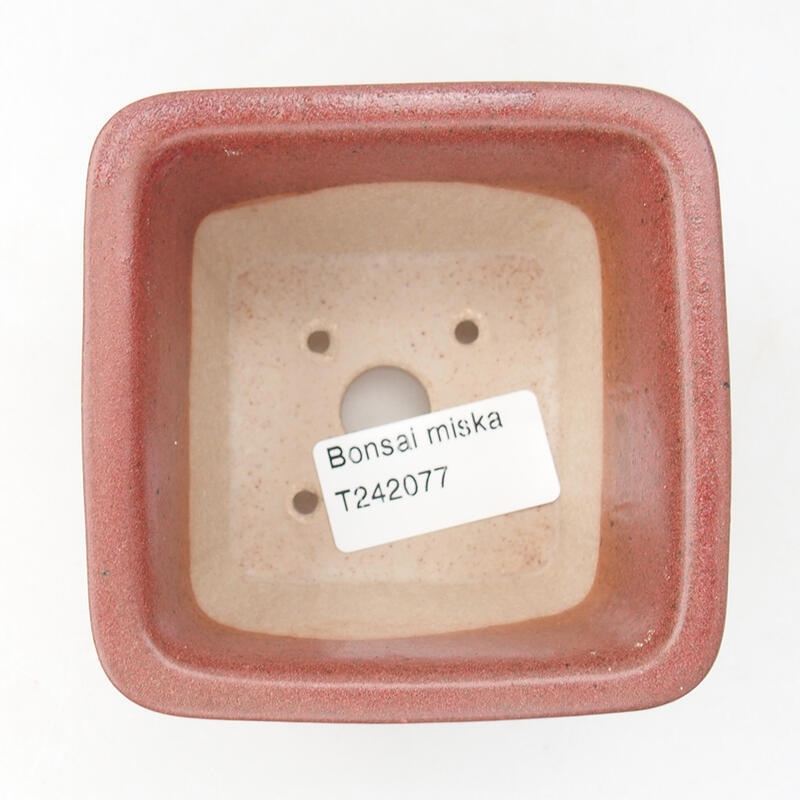 Keramik-Bonsaischale 8,5 x 8,5 x 5,5 cm, Weinfarbe