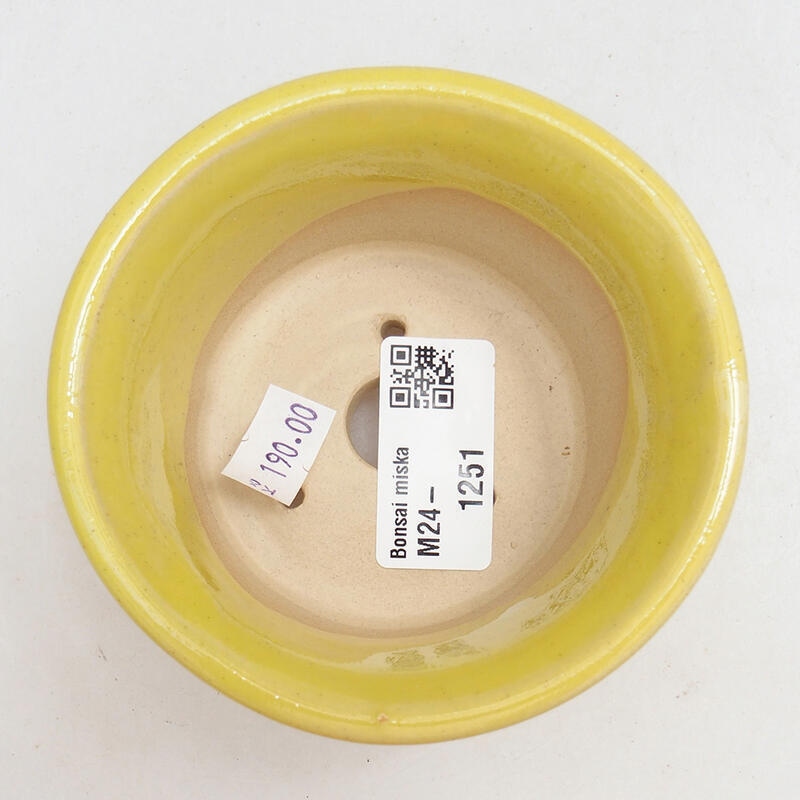 Keramik-Bonsaischale 9,5 x 9,5 x 5,5 cm, Farbe gelb