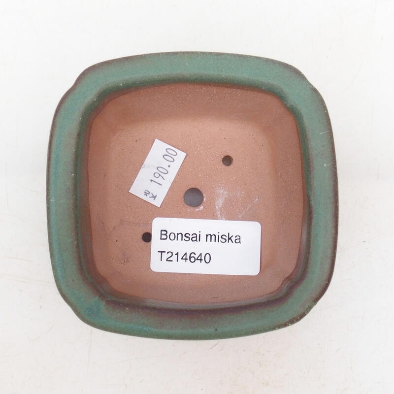 Bonsaischale aus Keramik 9 x 9 x 4 cm, Farbe grün