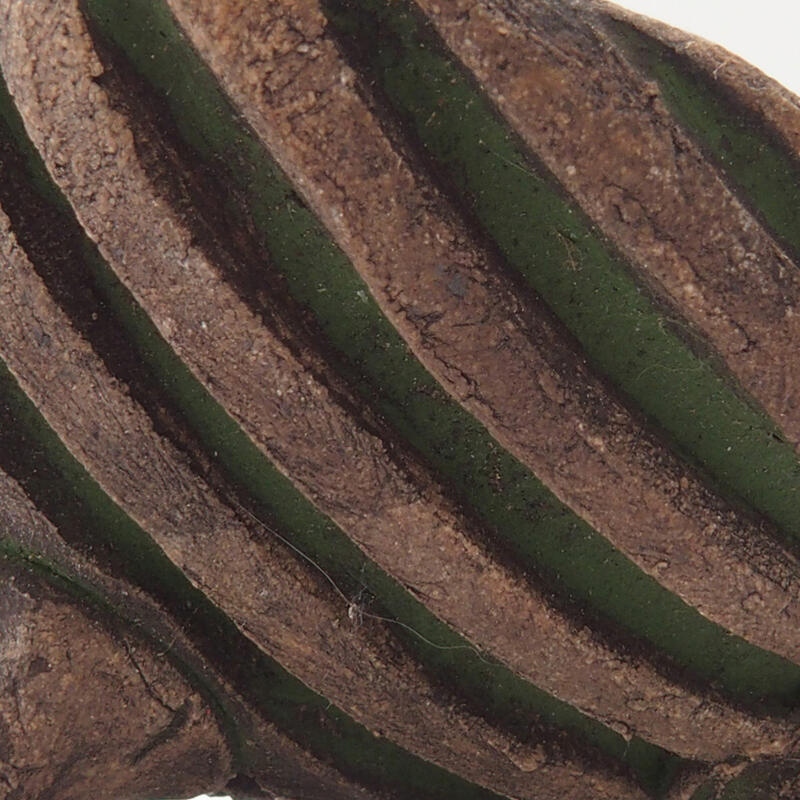 Keramikschale 7 x 7 x 4 cm, Farbe grün