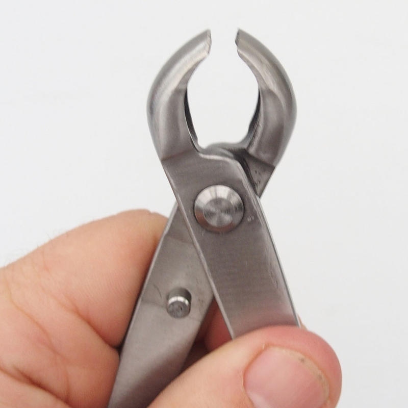 Zange konkav vorne 180 mm - Edelstahl
