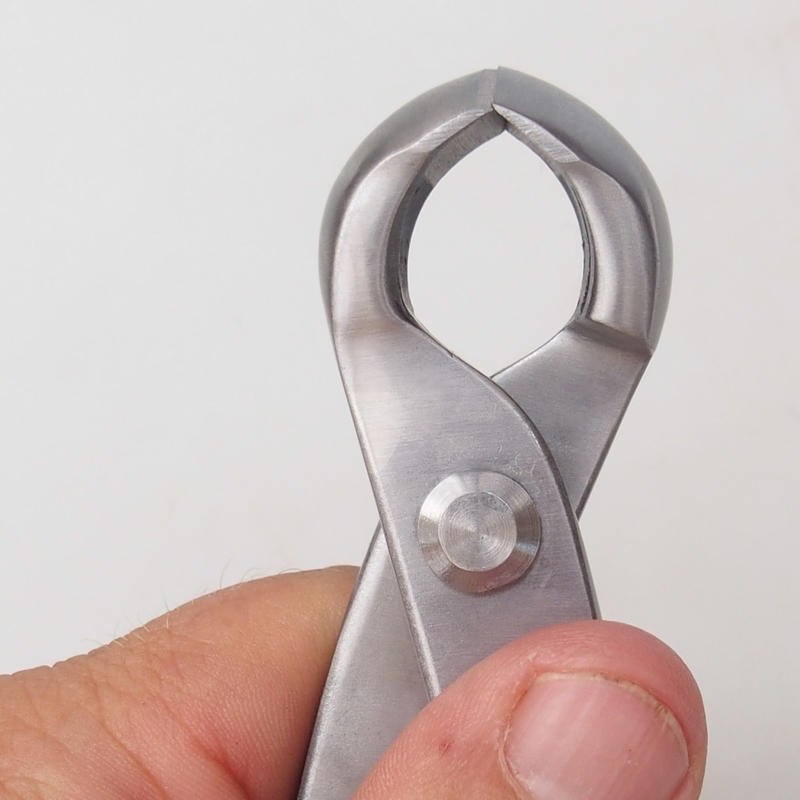 Zange konkav vorne 210 mm - Edelstahl