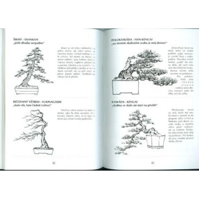 Das Buch nicht nur Bonsai in einem Wohnblock