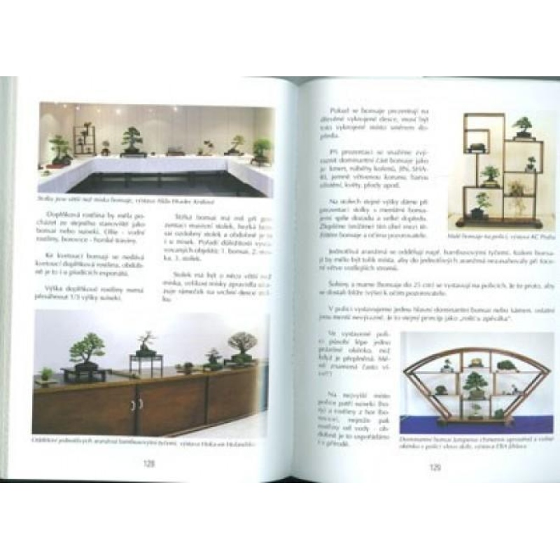 Das Buch nicht nur Bonsai in einem Wohnblock