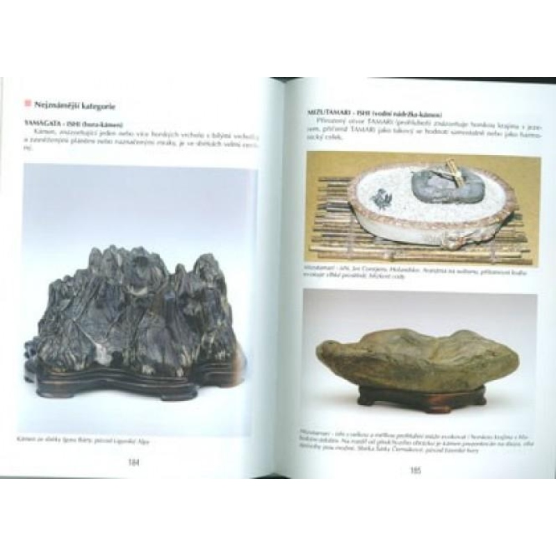 Das Buch nicht nur Bonsai in einem Wohnblock