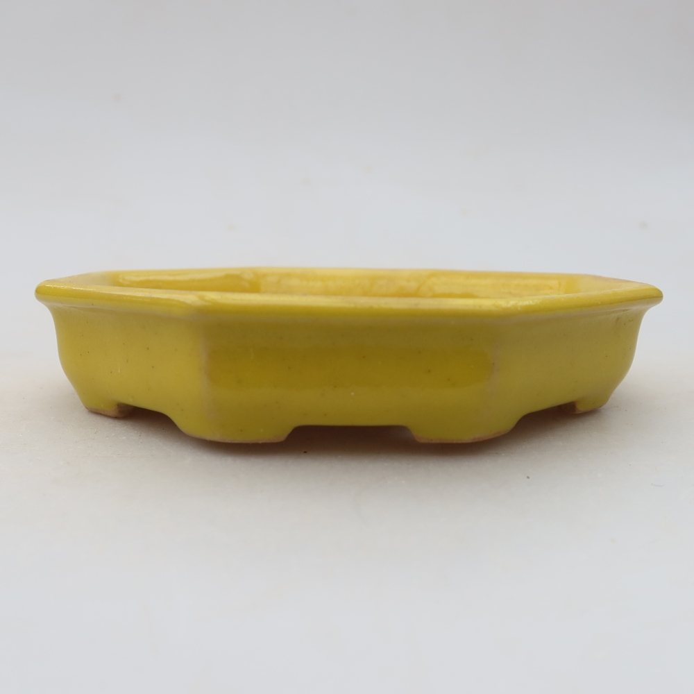 Keramik-Bonsai-Schale 11,5 × 11,5 × 2,5 cm, Farbe: gelb