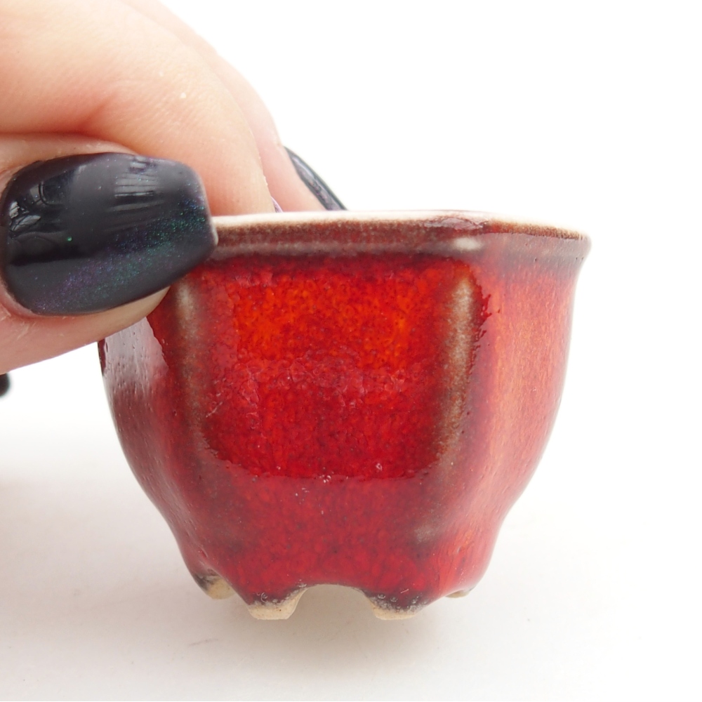 Mini-Bonsaischale 4 x 4 x 3 cm, Farbe rot