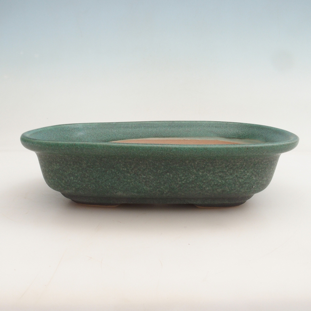 Bonsai-Schale H25 – 23 x 17 x 5,5 cm – grün