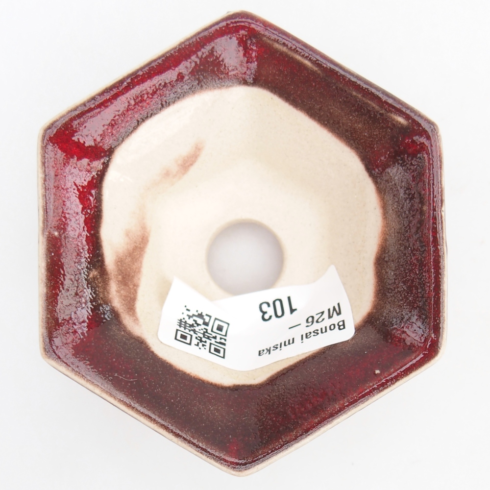 Mini-Bonsaischale 8 x 7 x 3 cm, Farbe rot