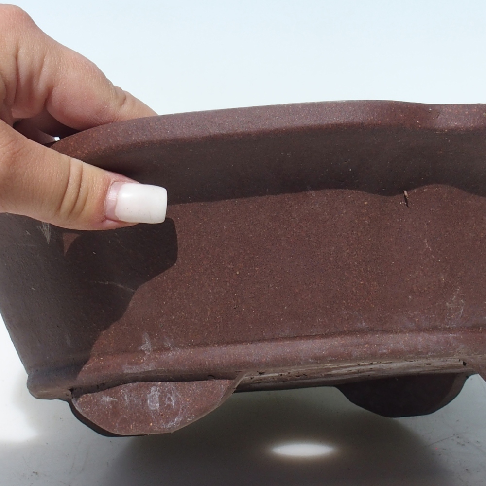 Bonsaischale 30 x 30 x 9 cm Birke braun