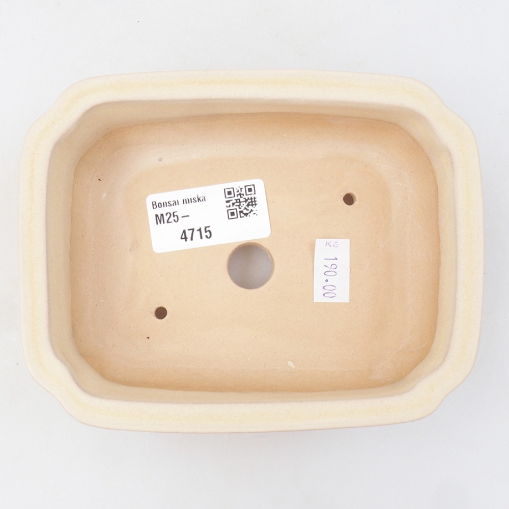 Keramik-Bonsaischale 14 x 11 x 4 cm, Farbe beige