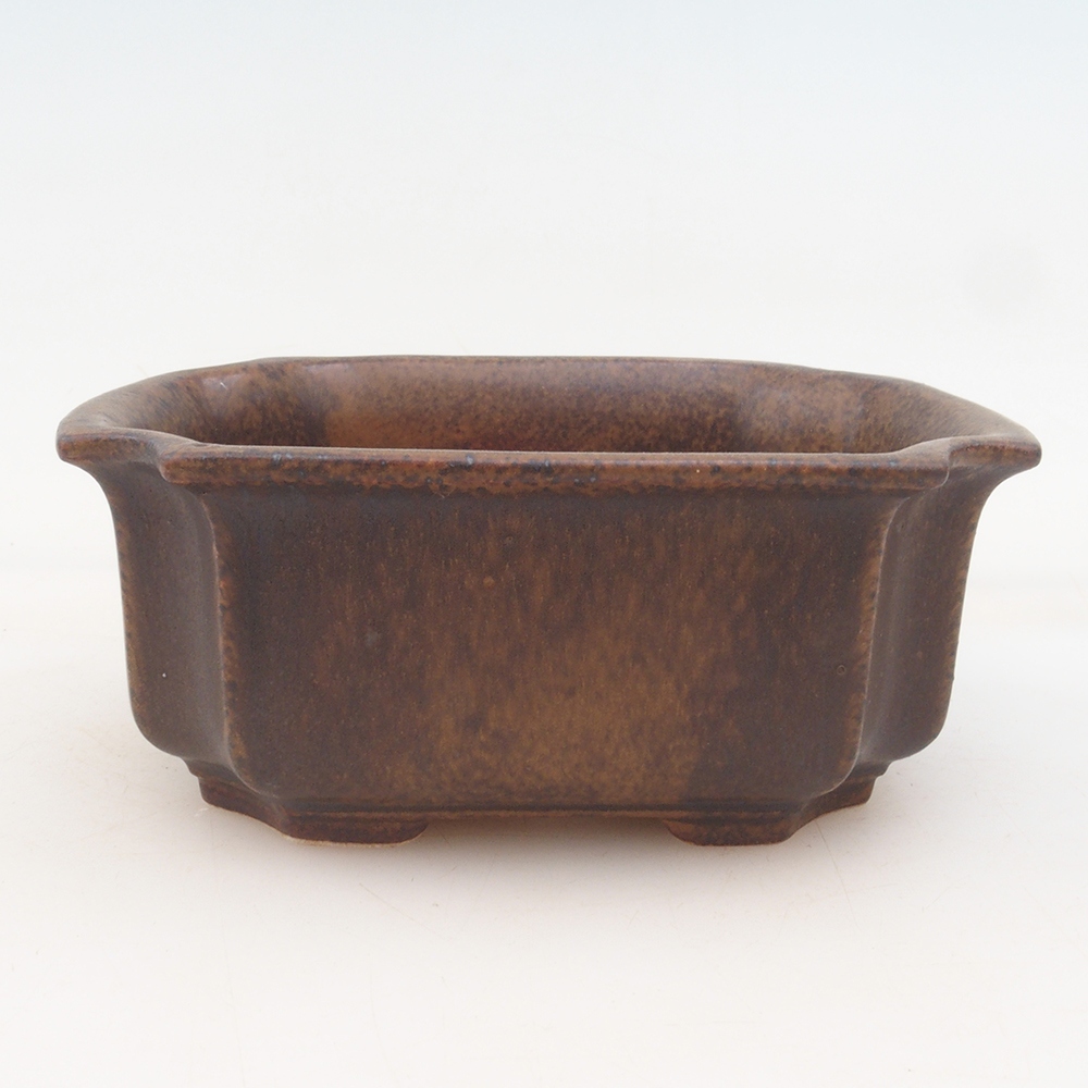 Bonsai-Schale + Untertasse H01 – Braun