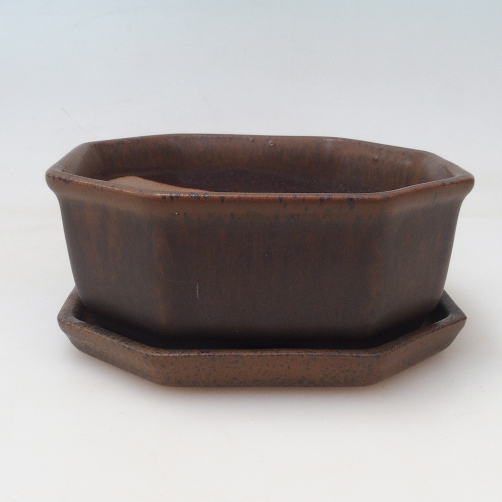 Bonsai-Schale + Untertasse H01 – 12 x 9 x 5 cm