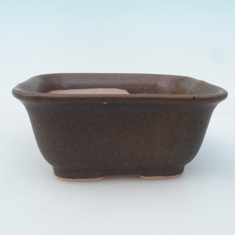 Bonsai-Schale + Untertasse H01 – 12 x 9 x 5 cm