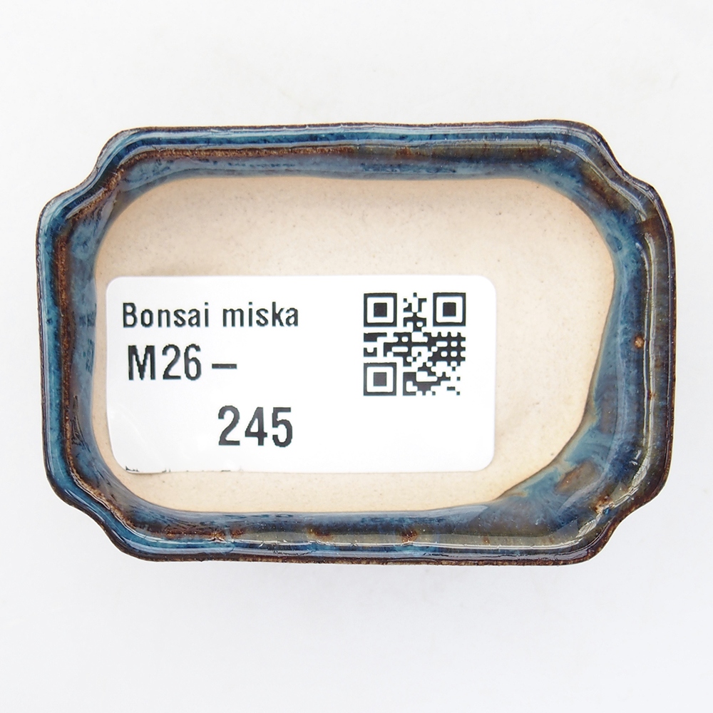 Mini-Bonsaischale 6 x 4 x 1,5 cm, Farbe blau
