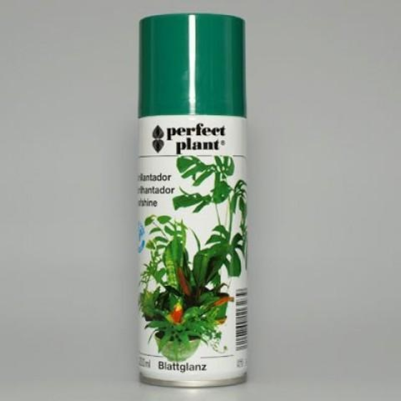 Gloss lässt 200 ml