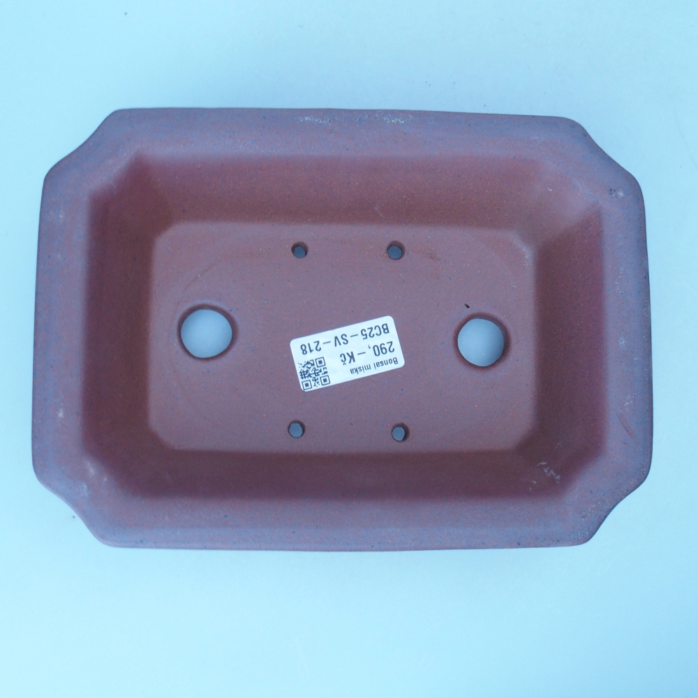 Schale 21 x 15 x 5,5 cm braun