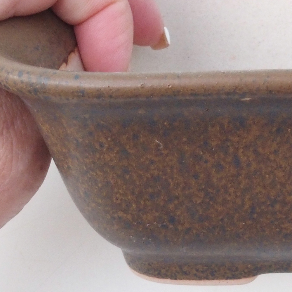Bonsai-Schale H38 - 12 x 10 x 5,5 cm - braun