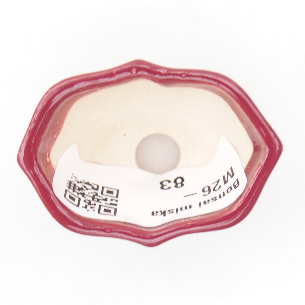 Mini-Bonsaischale 4,5 x 3 x 2,5 cm, bordeauxrot