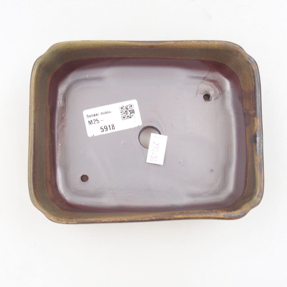 Keramik-Bonsaischale 15 x 12 x 4,5 cm, Farbe Grün