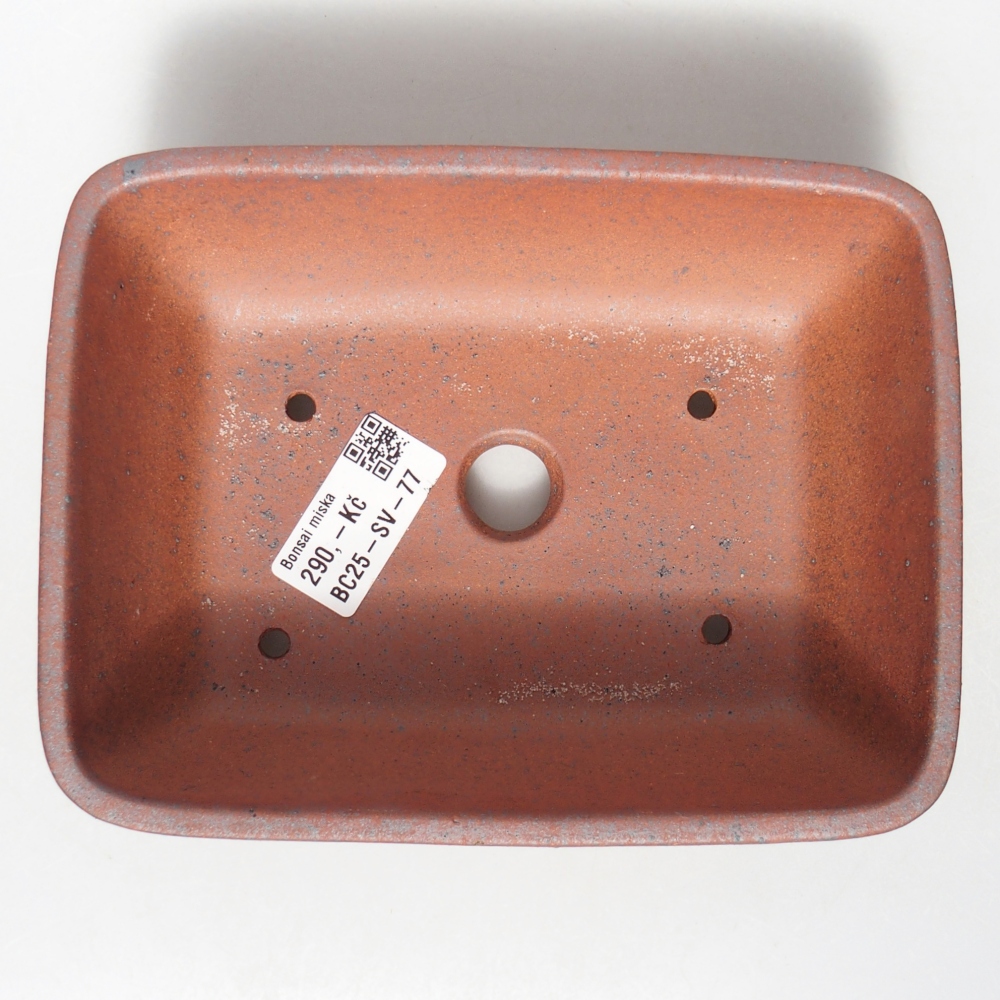 Schale 17 x 13 x 6 cm braun