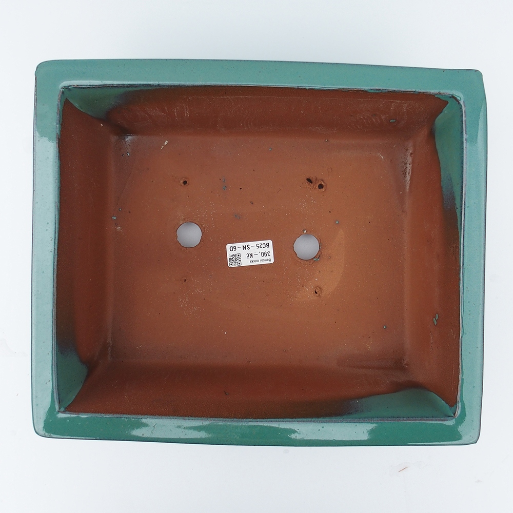 Schale 33,5 x 27,5 x 12,5 cm grün