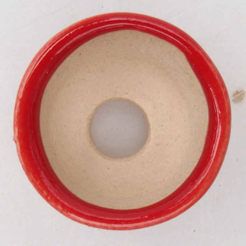 Mini-Bonsaischale 2,5 x 2,5 x 1,5 cm, Farbe Rot