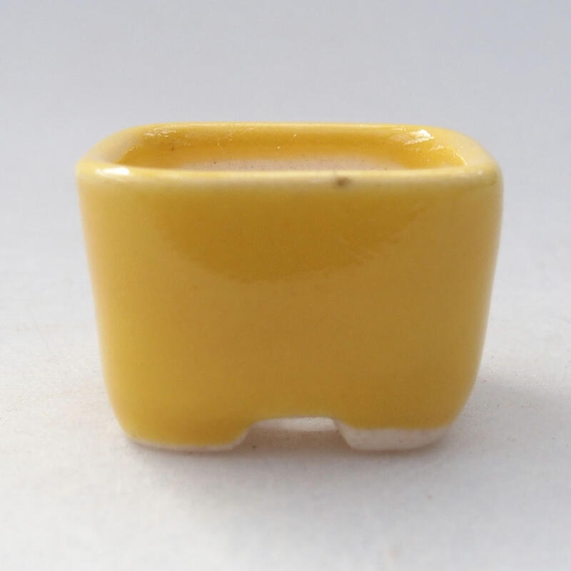Mini-Bonsaischale 2,5 x 2,5 x 1,5 cm, Farbe gelb