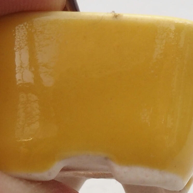 Mini-Bonsaischale 2,5 x 2,5 x 1,5 cm, Farbe gelb