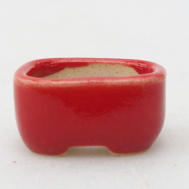 Mini-Bonsaischale 2 x 1,5 x 1 cm, Farbe rot