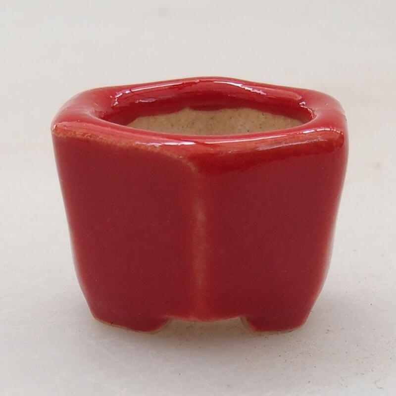 Mini-Bonsaischale 2 x 2 x 1,5 cm, Farbe rot