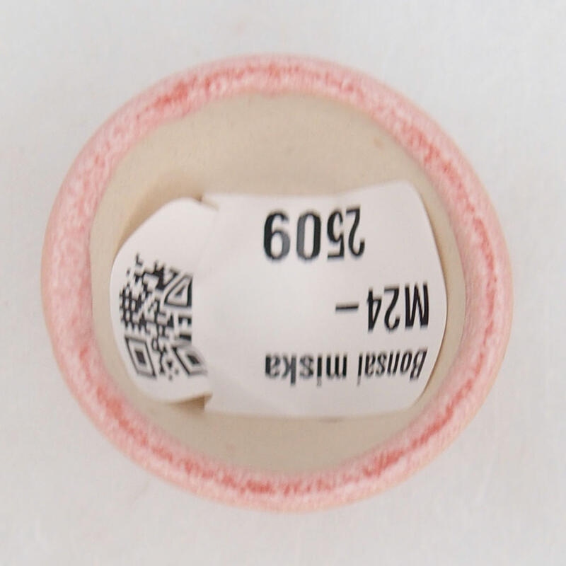 Mini-Bonsaischale 3,5 x 3,5 x 2,5 cm, Farbe rosa