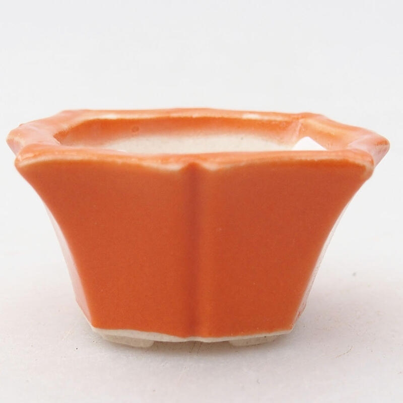 Mini-Bonsaischale 3,5 x 3,5 x 2 cm, Farbe Orange