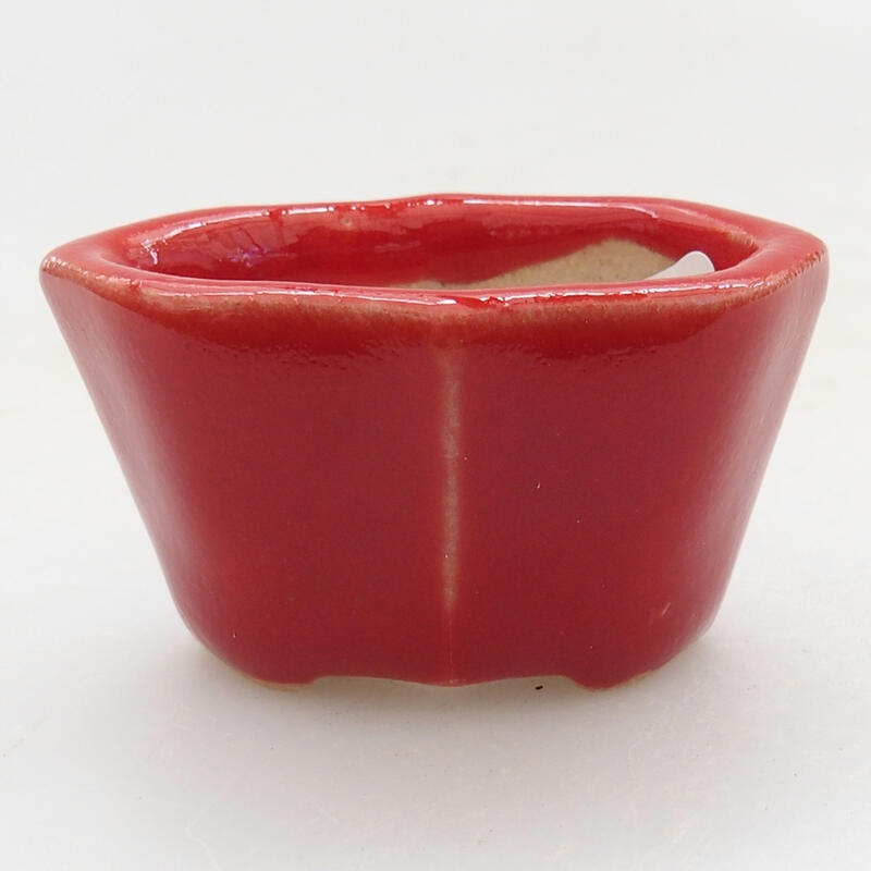 Mini-Bonsaischale 4,5 x 3 x 2,5 cm, Farbe Rot