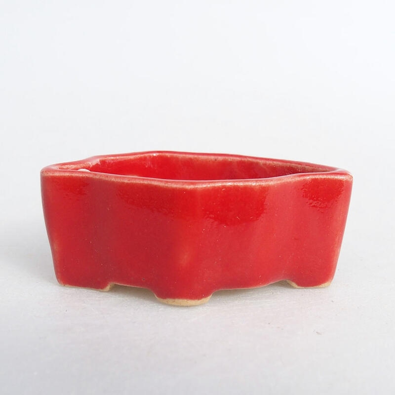 Mini-Bonsaischale 4,5 x 3 x 2 cm, Farbe Rot