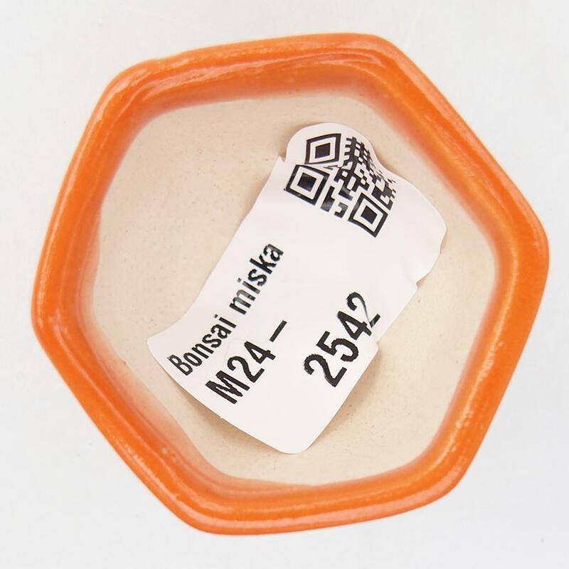 Mini-Bonsaischale 4,5 x 4 x 3 cm, Farbe Orange