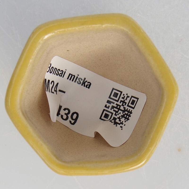Mini-Bonsaischale 4,5 x 4 x 3 cm, Farbe gelb